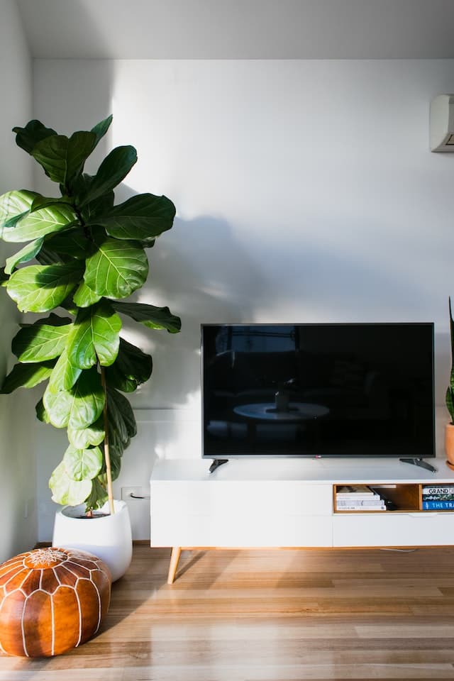 TV Repair
